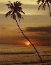 Sonnenuntergang am Koggala Beach