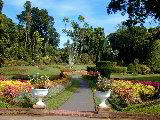 Botanischer Garten bei Kandy